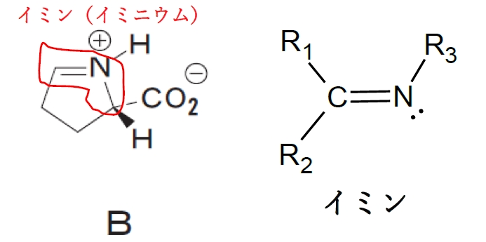 アミノ酸（C）の生合成過程の一部を示した図　第99回薬剤師国家試験問107